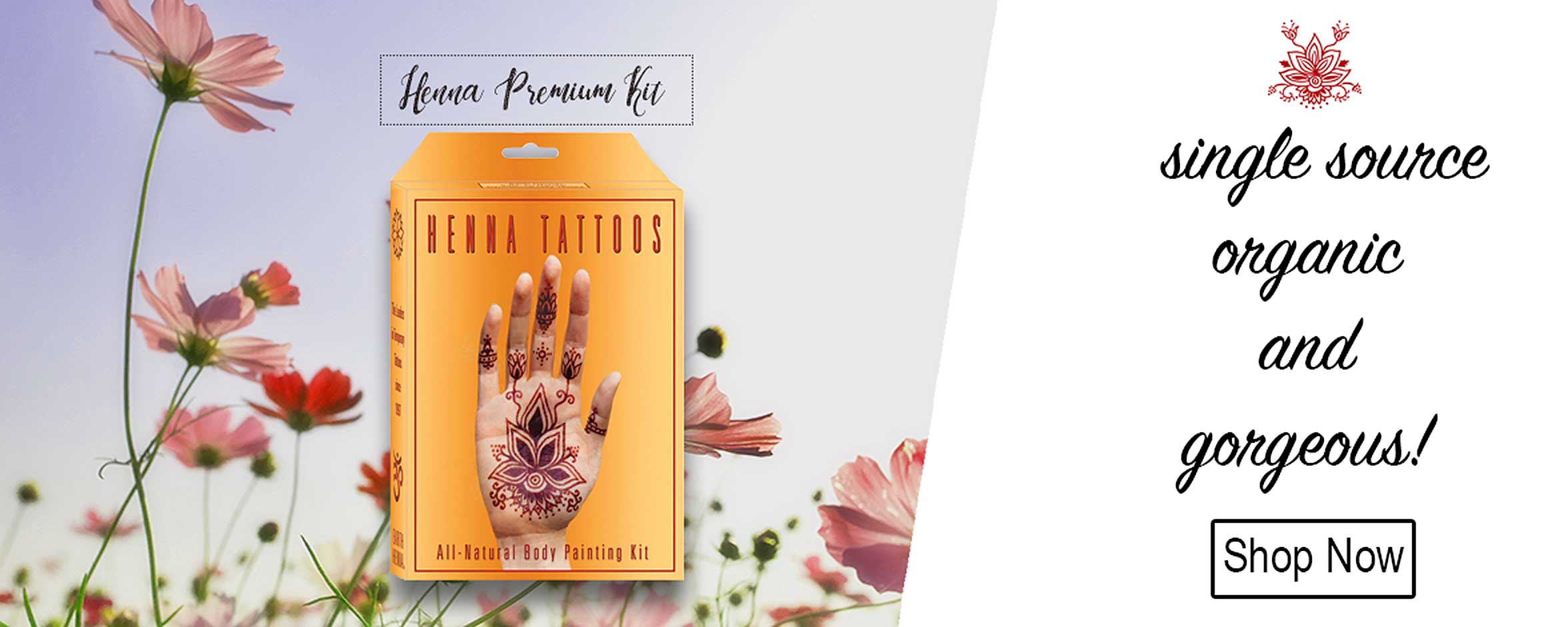 Earth Henna Premium Kit