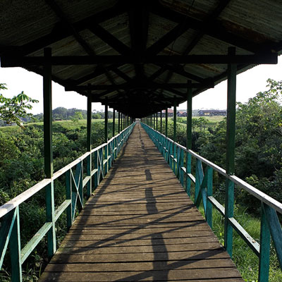 Long bridge